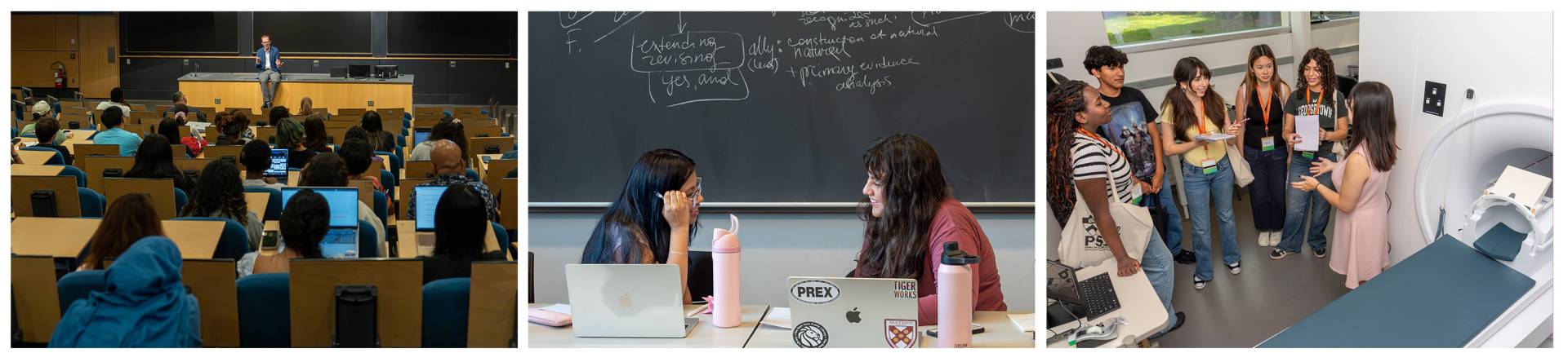 Scenes from a summer colloqium, coursework and a visit to the Princeton Neuroscience Institute.