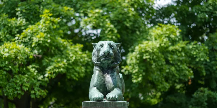 the tiger in palmer square.