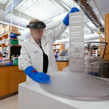 A scientist in her lab.