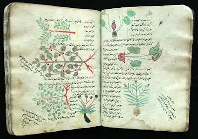 Islamic manuscripts