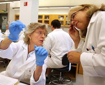 Ann Slisky reviewing progress