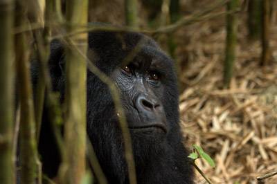 Photo Contest Arjun Jain