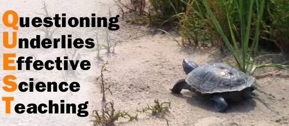 In QUEST, questions are the answer to better teaching