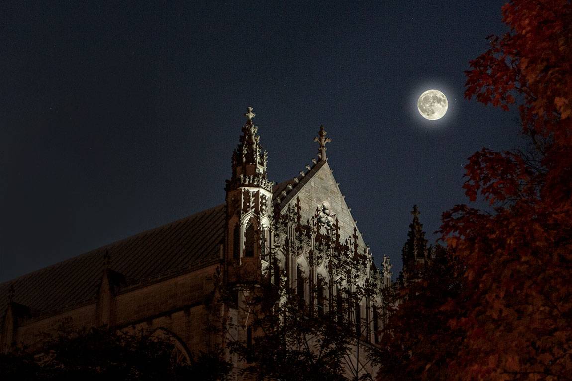 Happy Halloween from Princeton University's gothic grounds