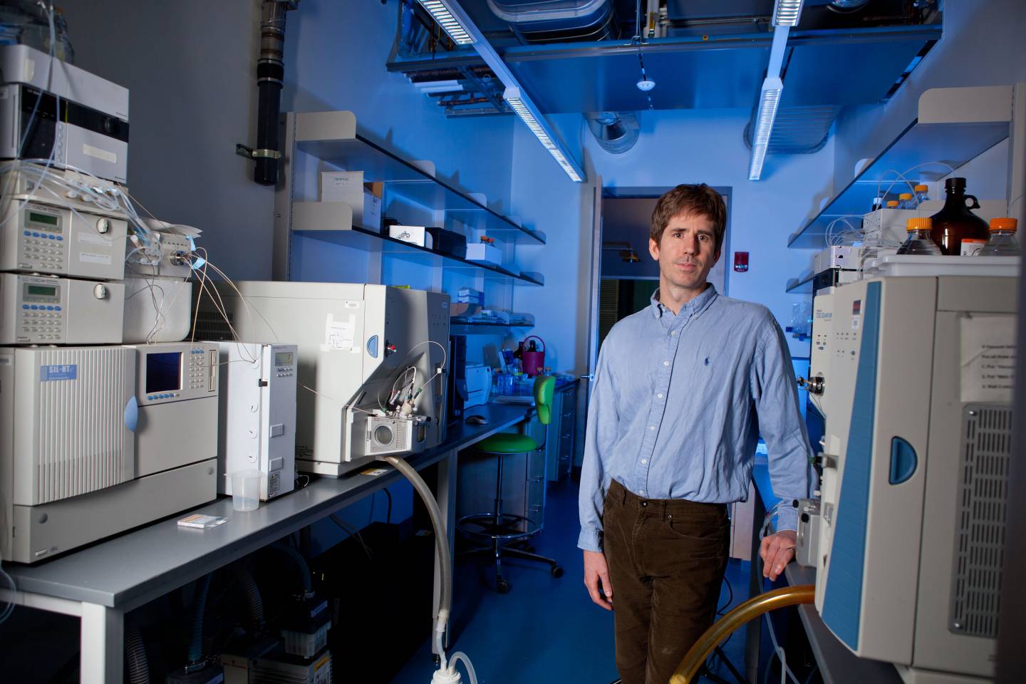 Mouse study reveals gut effects of too much fructose