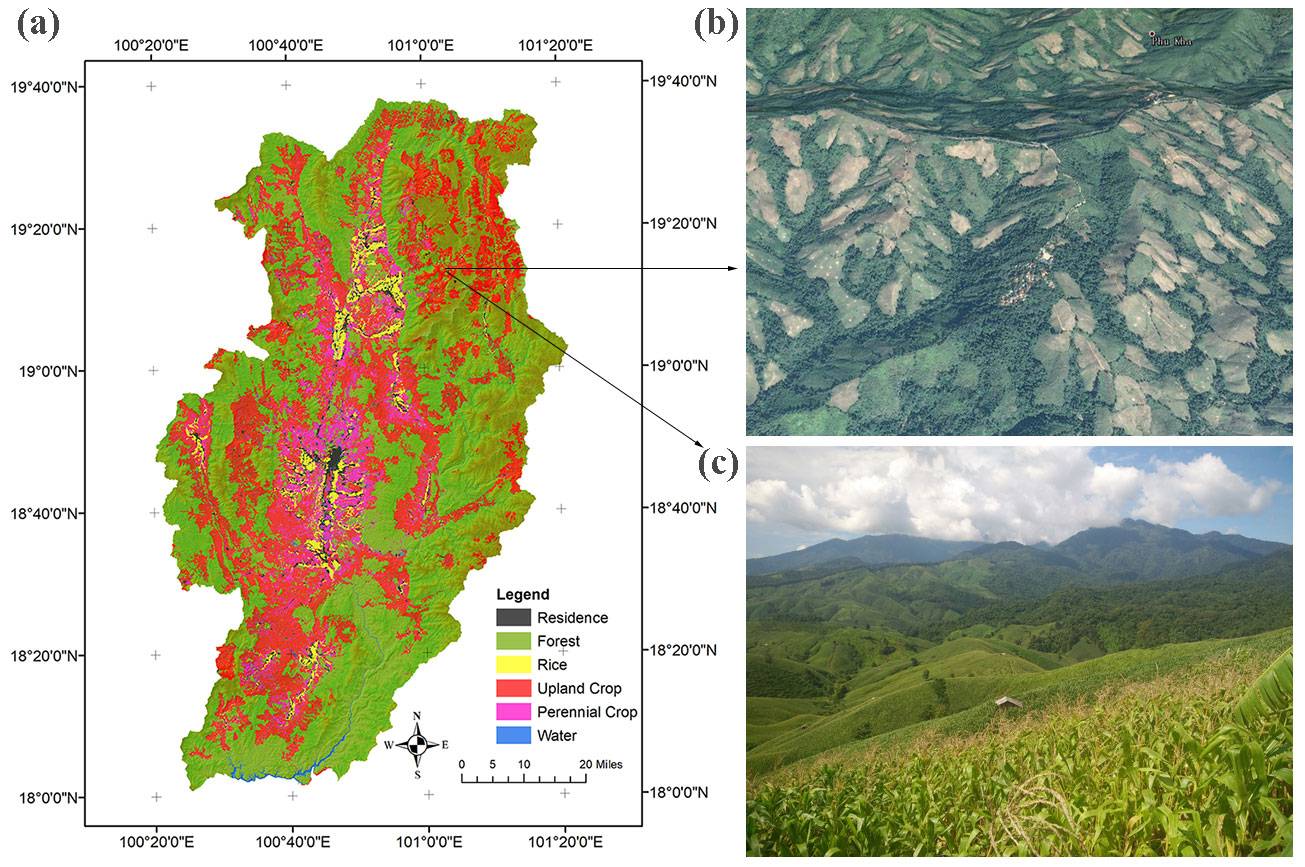 Satellite imagery of forests in Southeast Asia