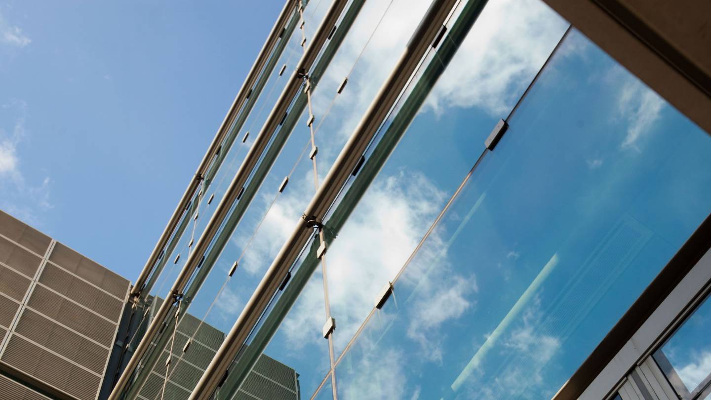 Schmidt fund awarded to two transformative bioengineering projects