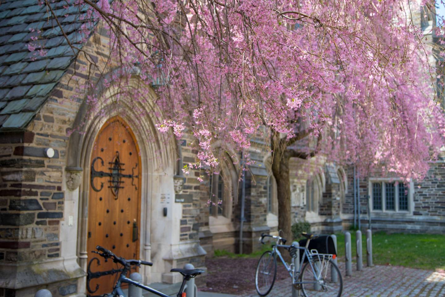 Princeton’s Annual Giving campaign raises 68.6 million