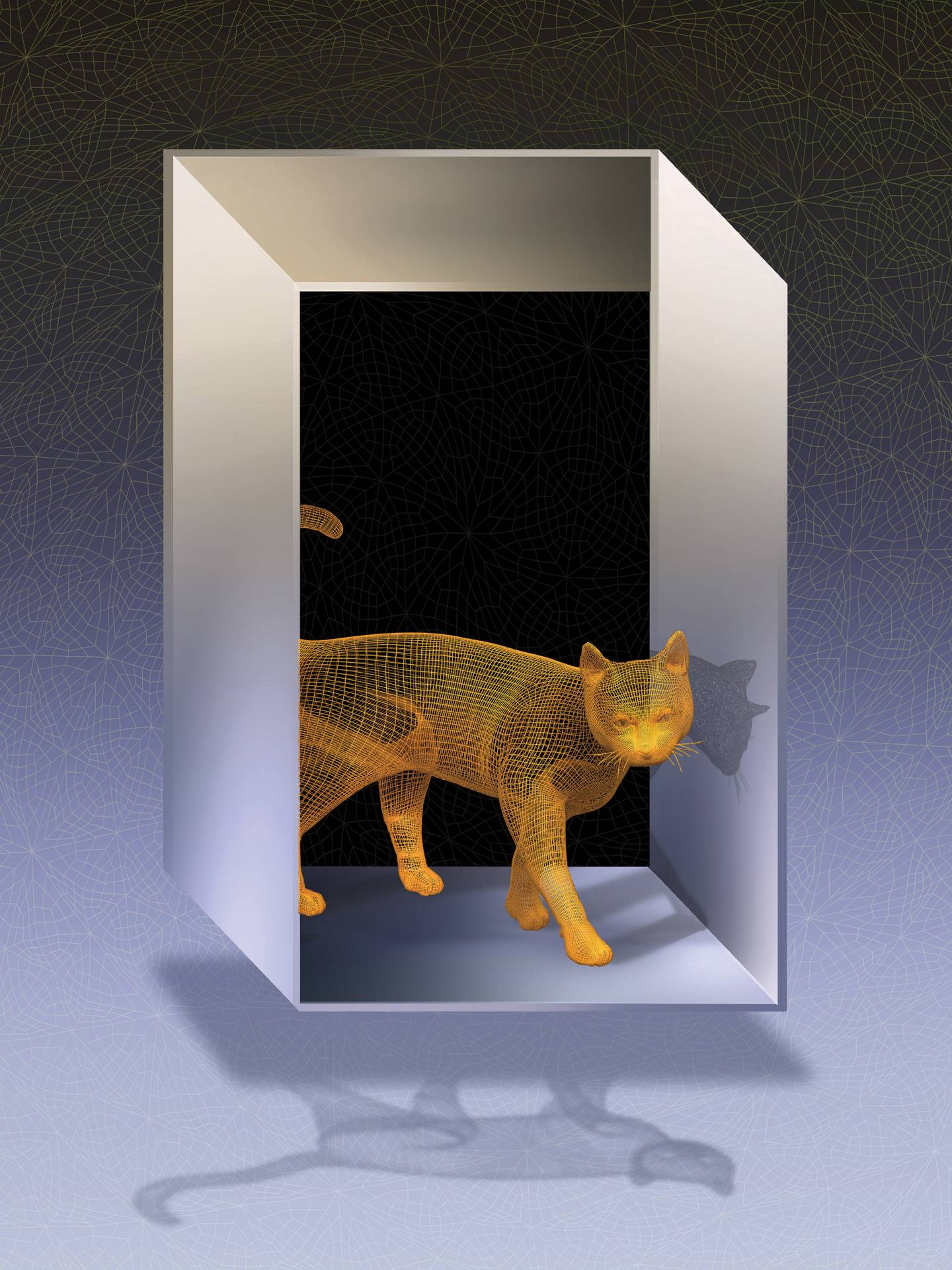 Schodinger's cat walks through an impossible door
