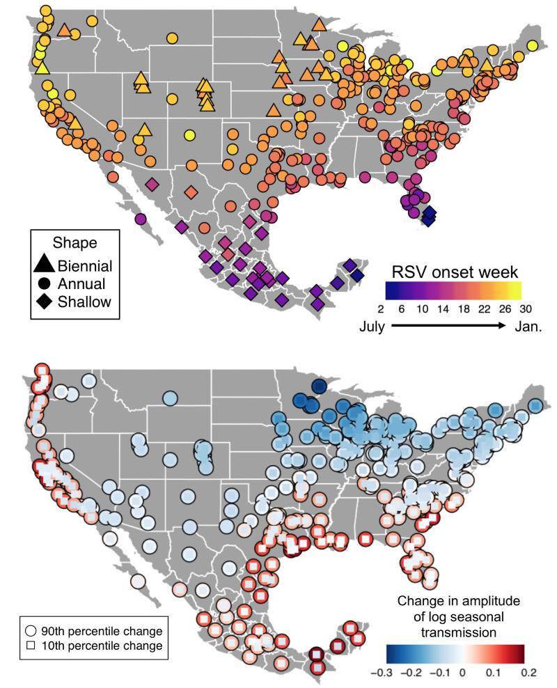 maps of the United States showing the seasonal spread of respiratory syncytial virus (RSV)