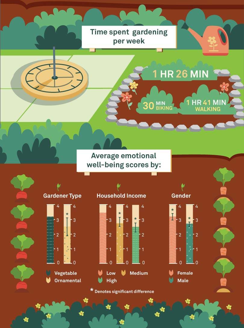 Time spent gardnening per week/1HR 26 MIN/30 MIN BIKING/1HR 41 MIN Walking/Average emotional scores by (bar graph): Gardener type vegetable vs ornamental/Household Income: low, medium, high/Gender: Male v. female