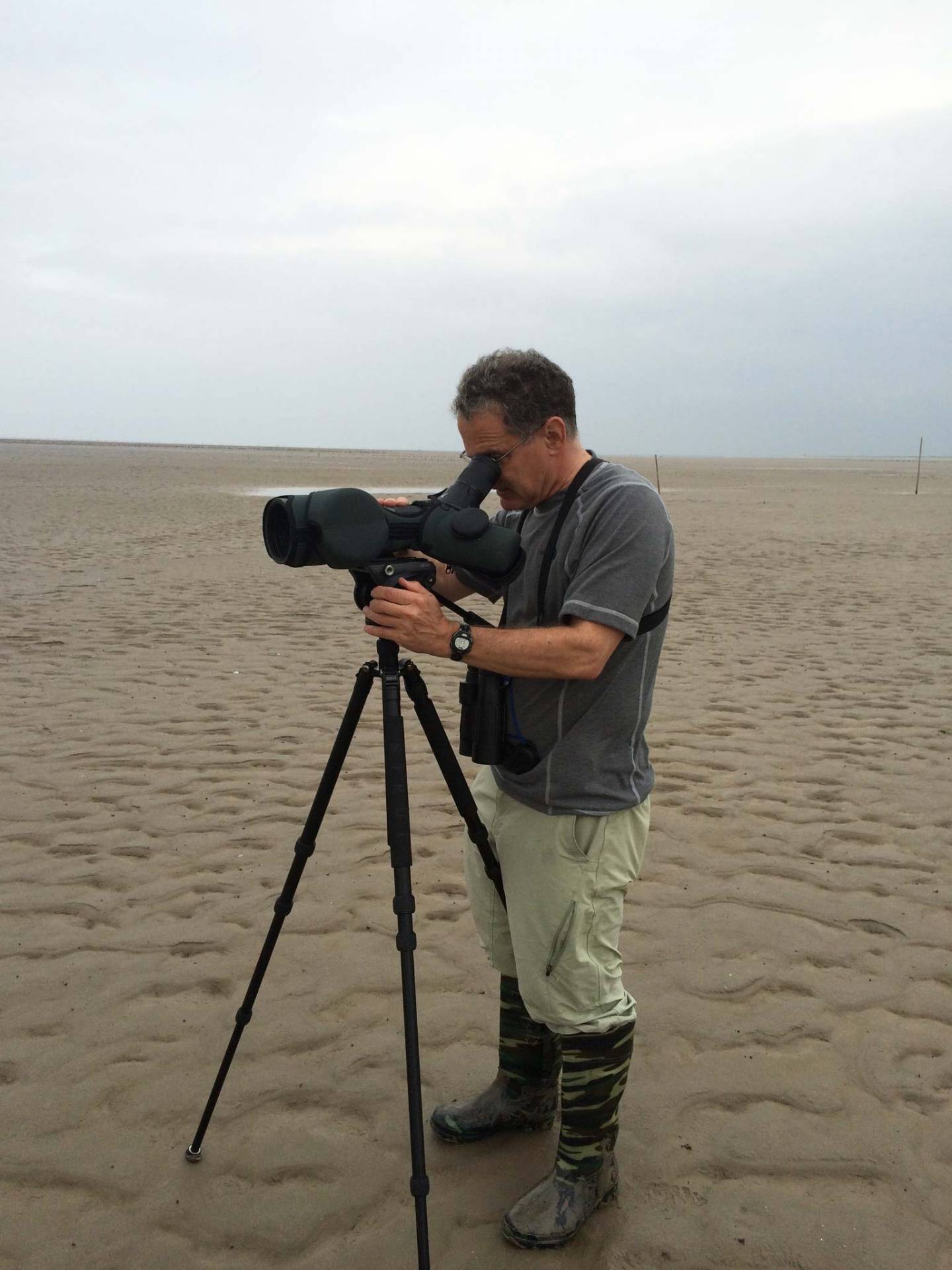 David Wilcove gathers data on a beach at low tide
