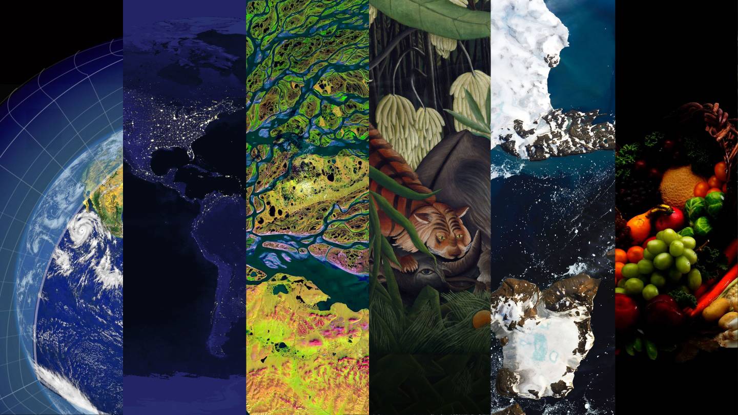 Addressing humanity's environmental challenges - Vimarsana News