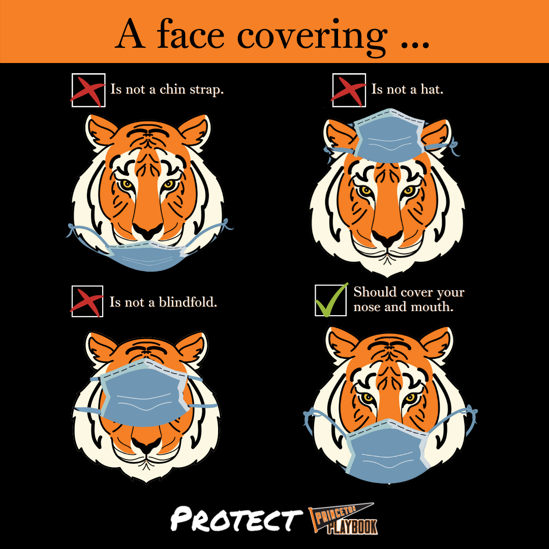 Inforaphic with a tiger demonstrating 3 incorrect ways of wearing a face mask (under the chin, on top of one's head, or over one's eyes. Protect.