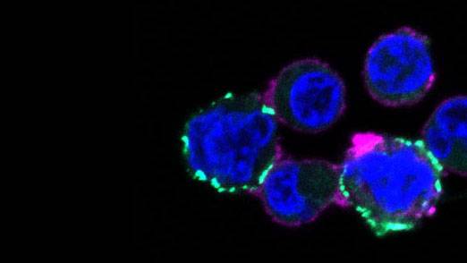 From lab to everyday life: Princeton accelerator fund supports ...