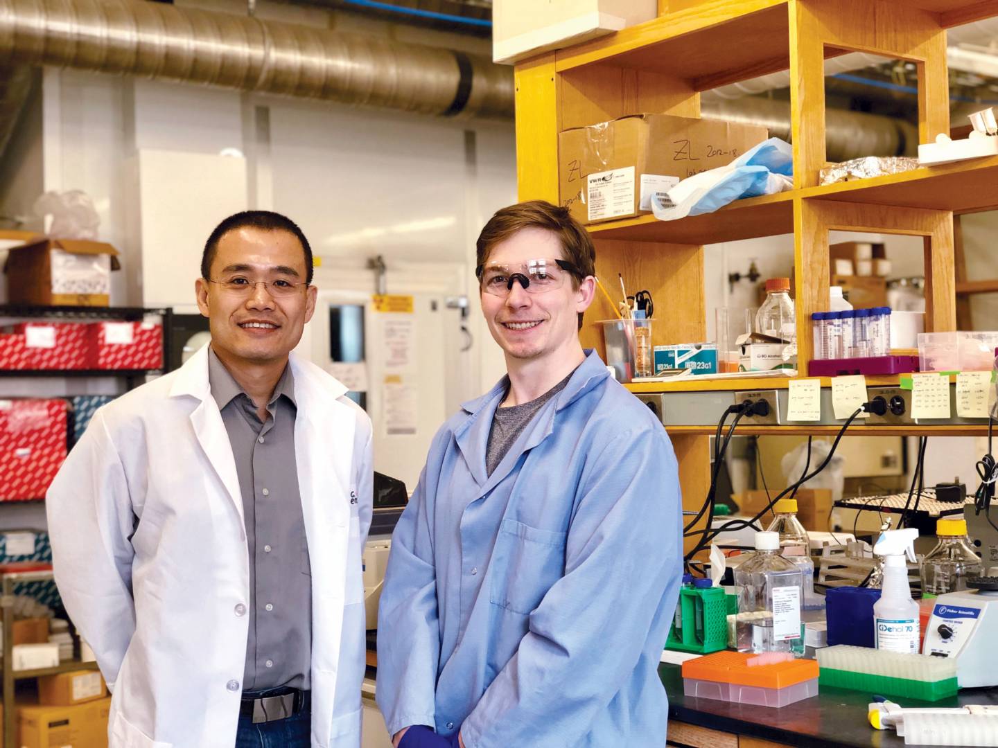 Princeton team discovers new organelle involved in cancer metastasis - Vimarsana News