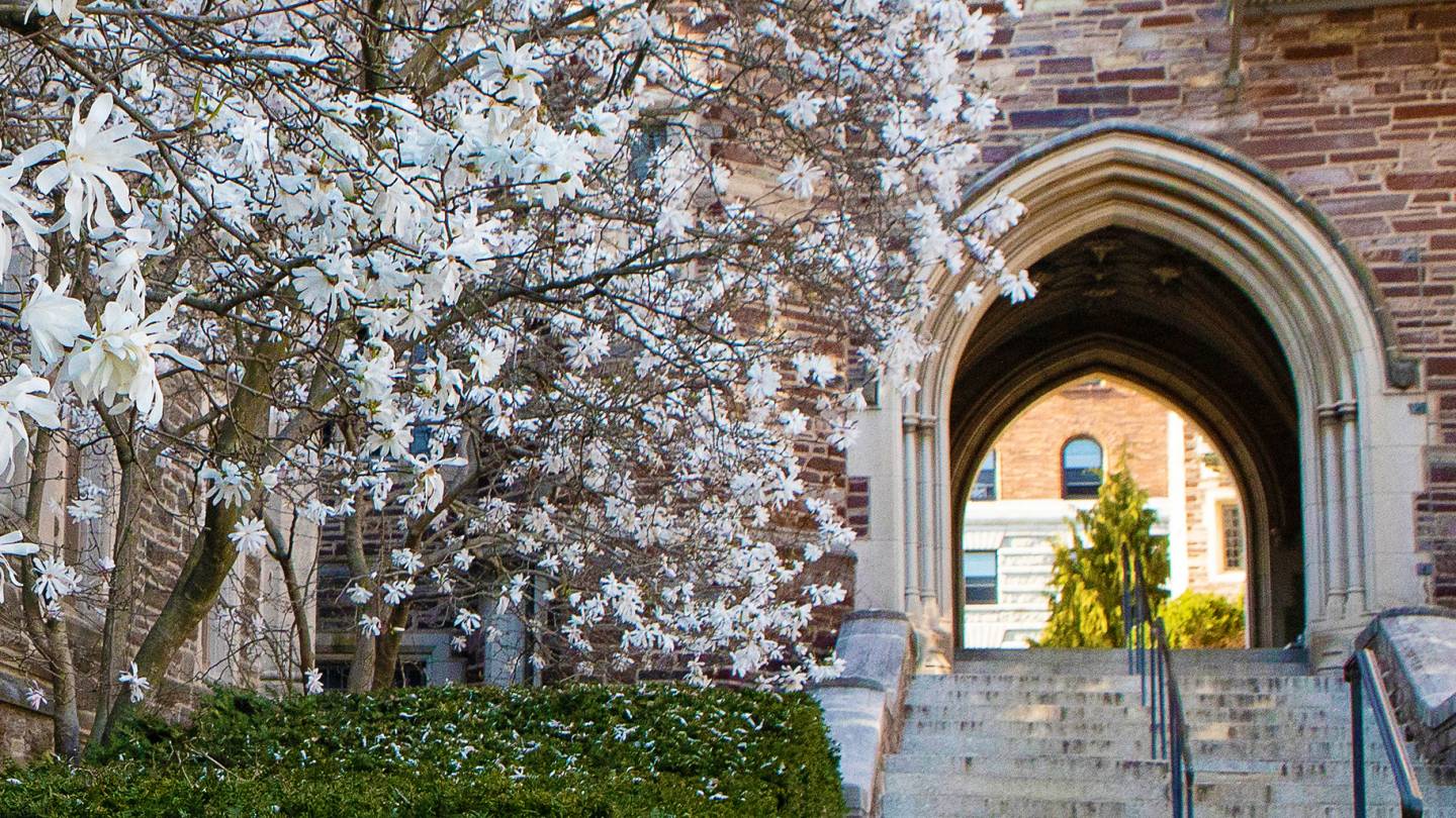Princeton faculty Bialek, Dennehy, Mian, Perry, Ralph and Taylor and three graduate alumni win 2021 Guggenheim Fellowships - Vimarsana News