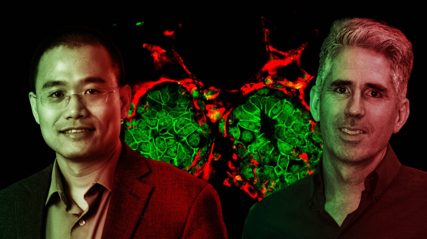 Rabinowitz leads research into cancer metabolism as director of new Ludwig Princeton Branch - Vimarsana News