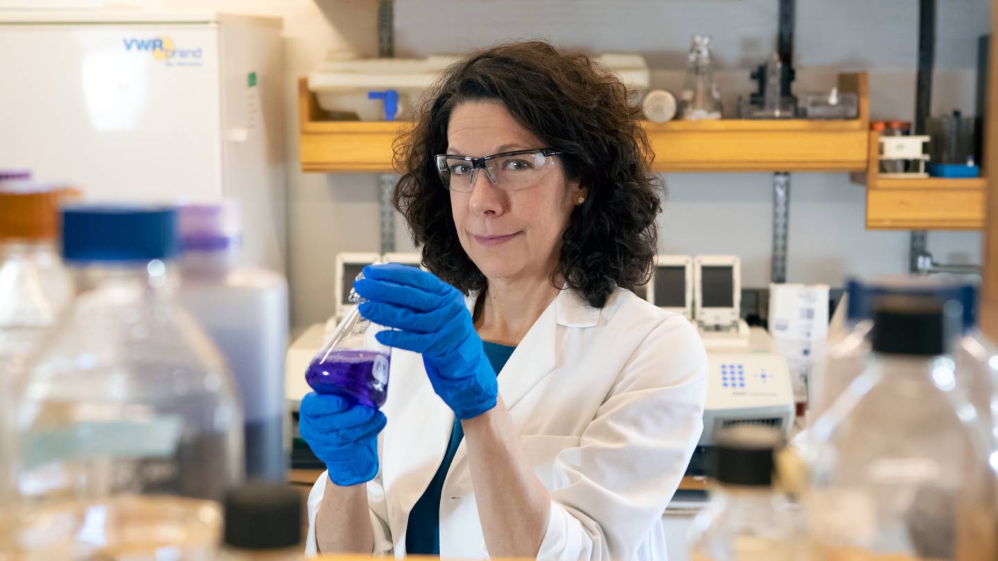 Bonnie Bassler has been awarded the 2022 Microbiology Society Prize Medal - Vimarsana News