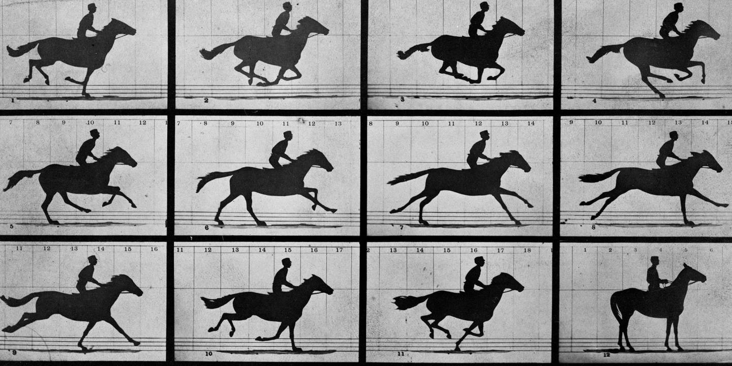 HORSEMANSHIP - Vimarsana News