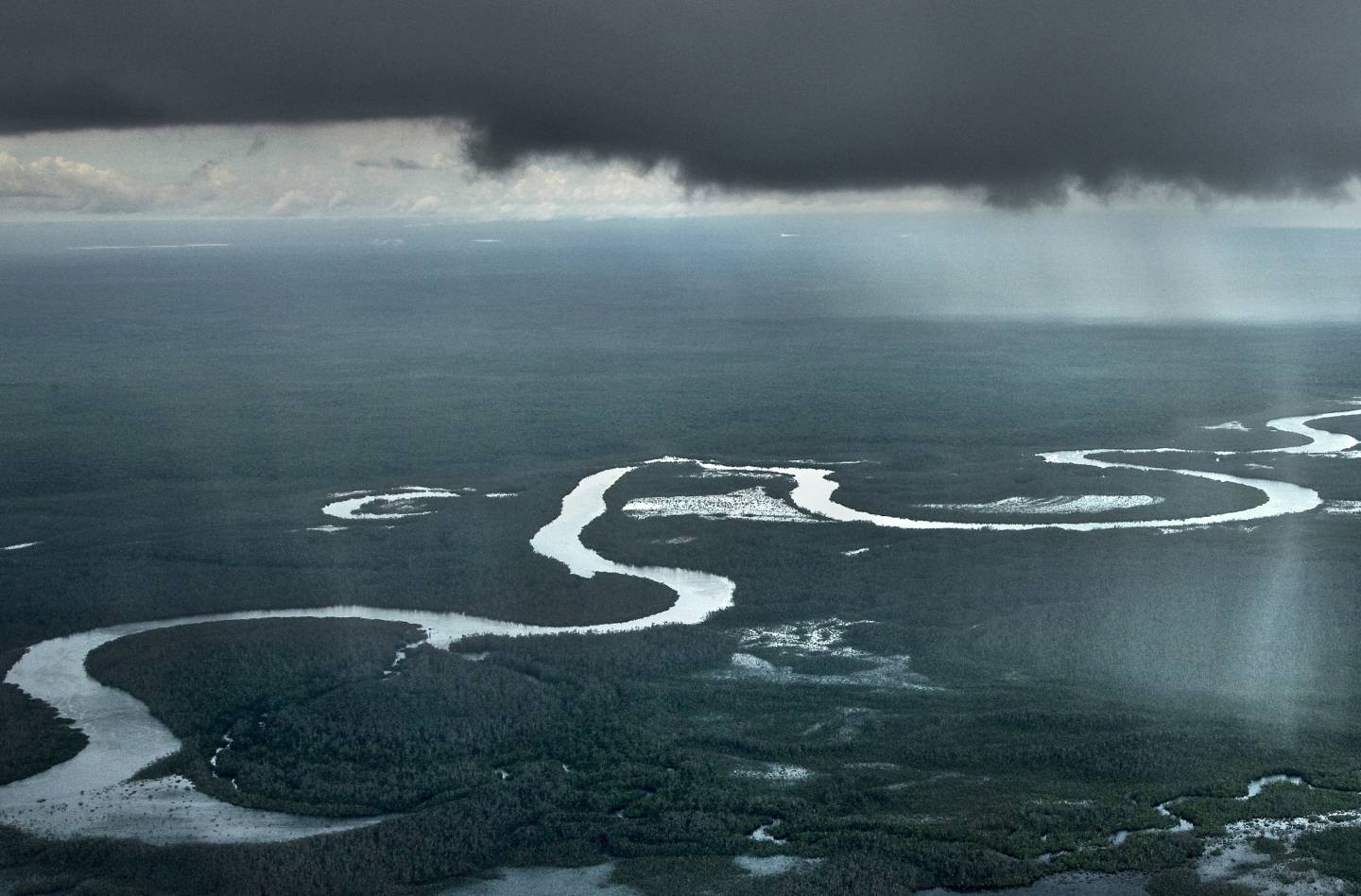 'Amazonian Leapfrogging' conference is bringing top thinkers to campus to focus on climate and social inequality - Vimarsana News