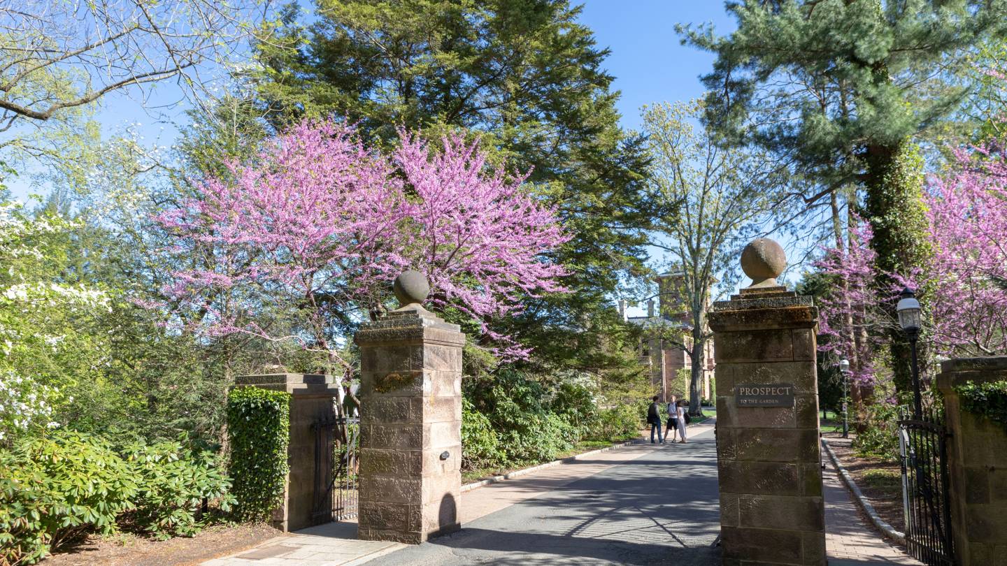 New partnerships, programs and positions are part of Princeton's ongoing commitment to combat systemic racism - Vimarsana News