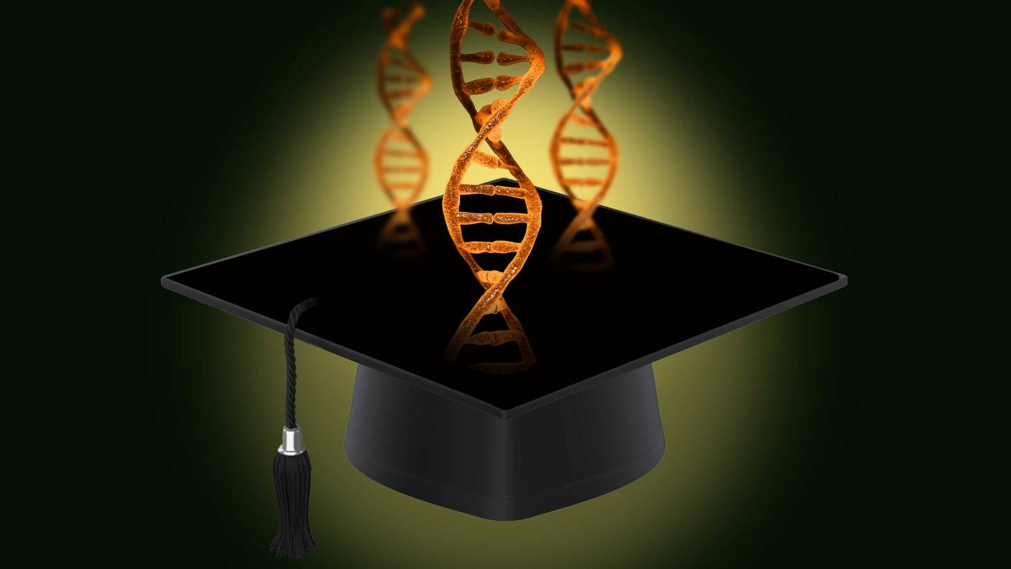 New biophysics graduate program draws leading faculty from across the University - Vimarsana News
