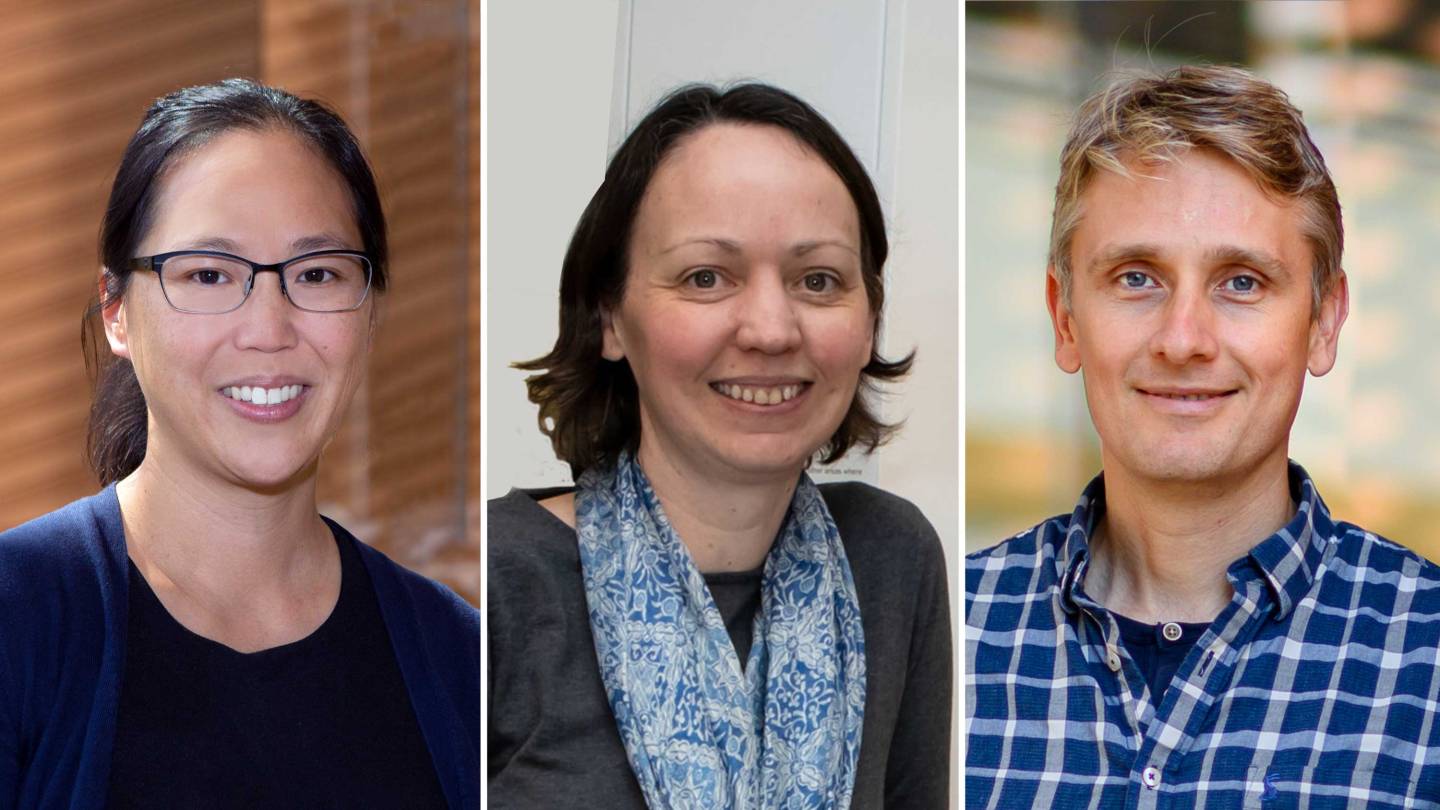 Michelle Chan, Celeste Nelson and A.J. te Velthuis win major NIH awards