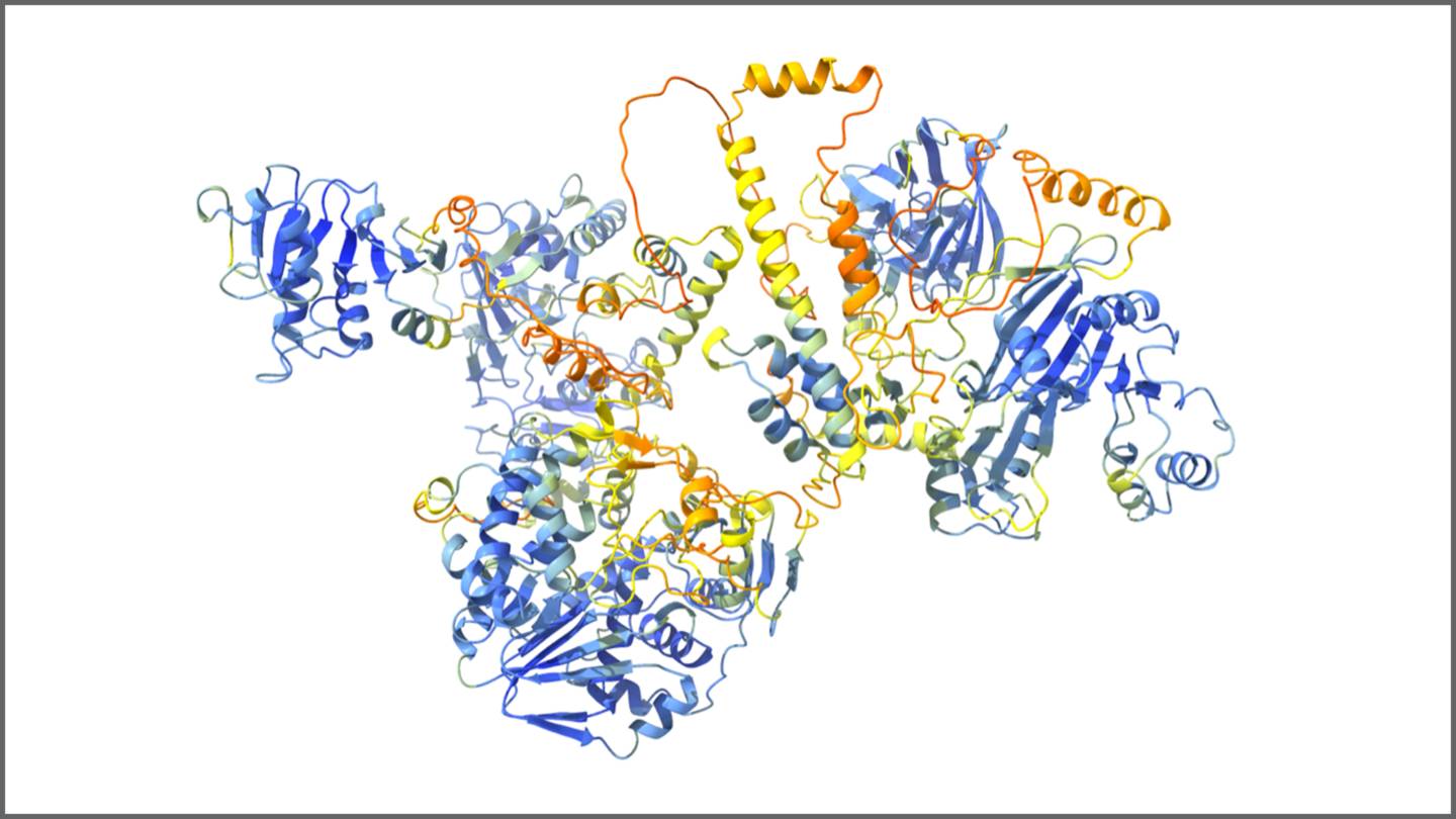 Princeton researchers find a path toward Hep E treatment by disentangling its knotty structure - Vimarsana News