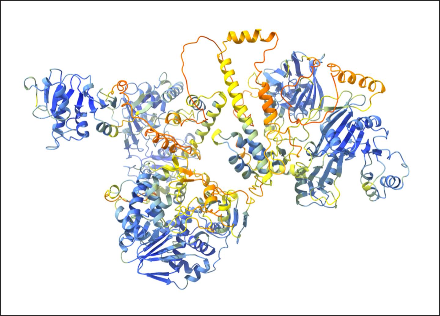 The structure and function of a poorly characterized region of Hepatitis E’s ORF1 has now been disentangled, settling a long-running debate.