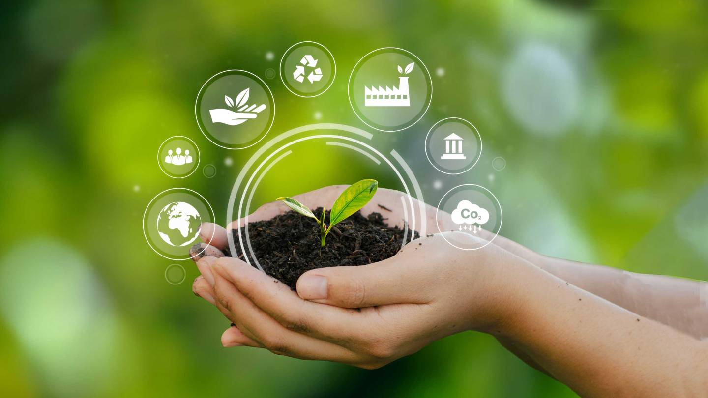 New funding supports Princeton's biofuels efforts - Vimarsana News