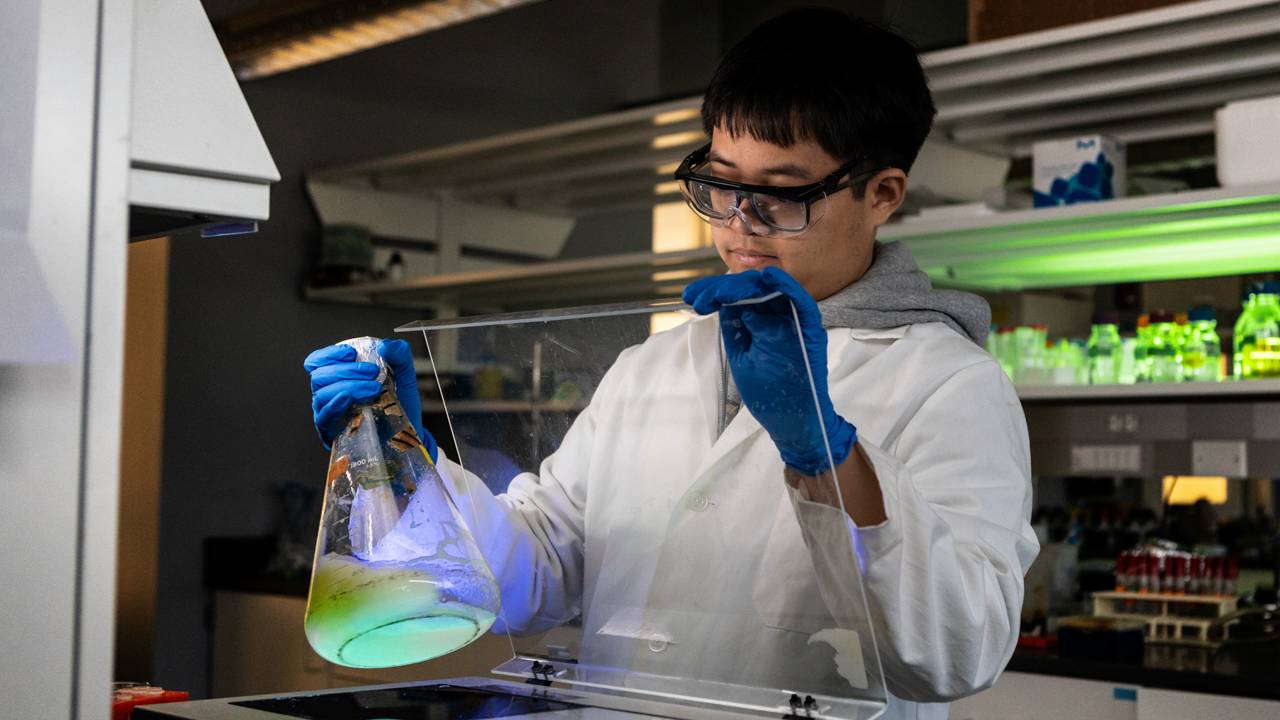 Princeton engineering: Informed by the liberal arts - Vimarsana News