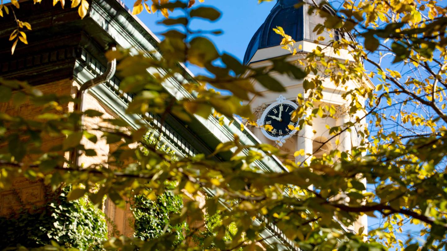 Eleven scholars named Presidential Postdoctoral Research Fellows - Vimarsana News