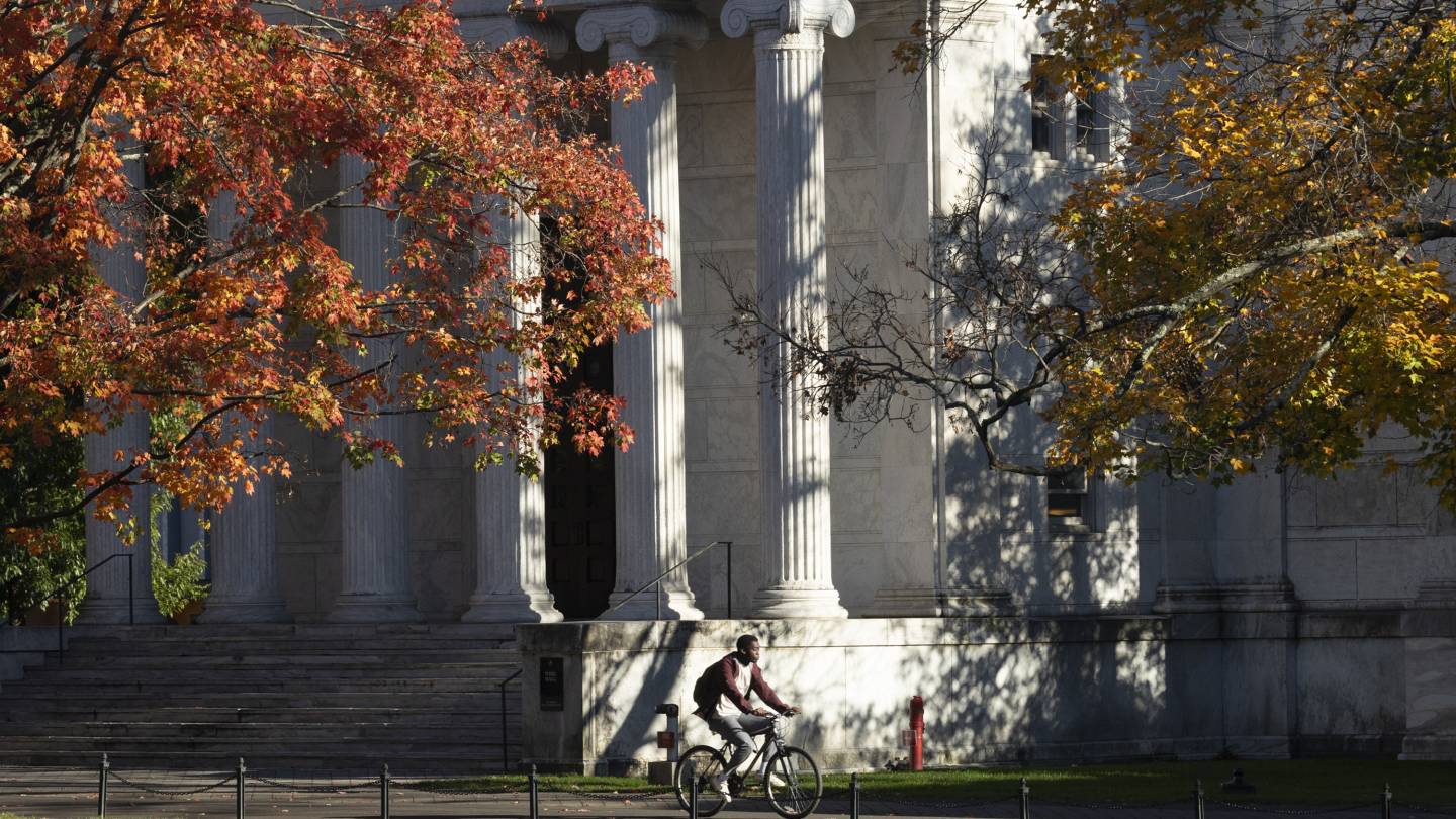 Board approves new faculty appointments - Vimarsana News
