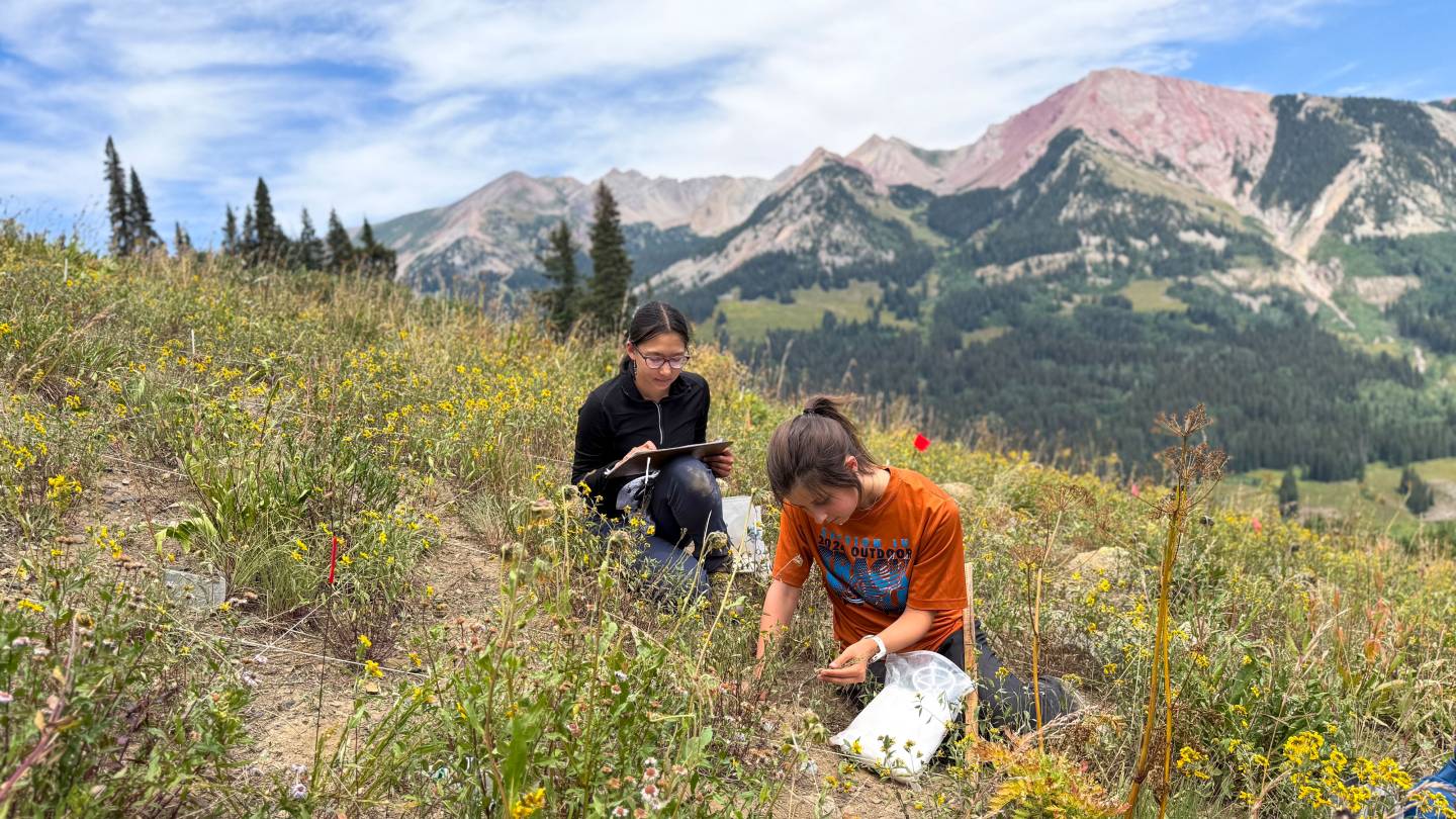 Major gift names the Griffin-Cole Climate and Energy Grand Challenge Fund in HMEI