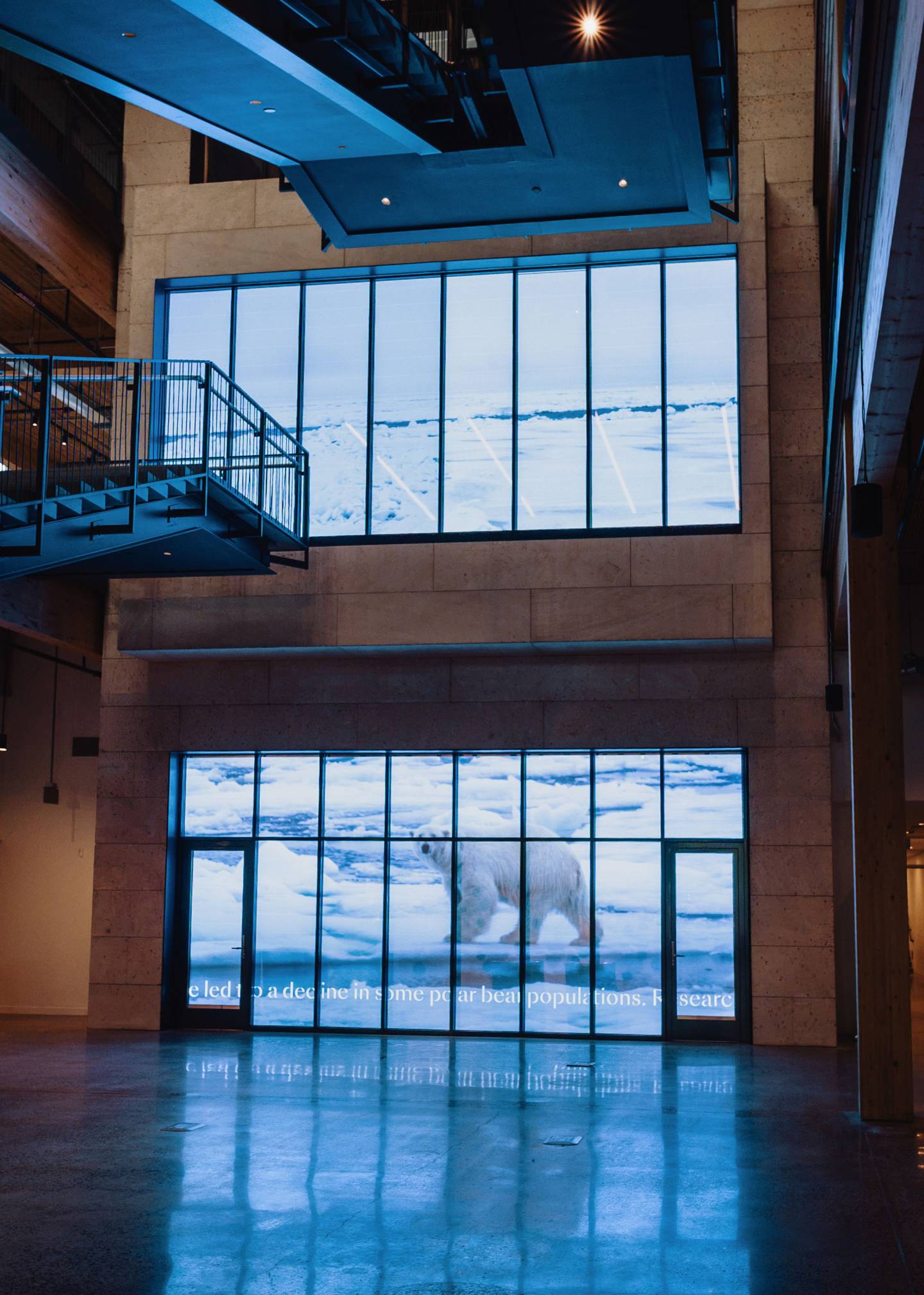 A polar bear lumbers across the Arctic in a frame from the two-story video display.