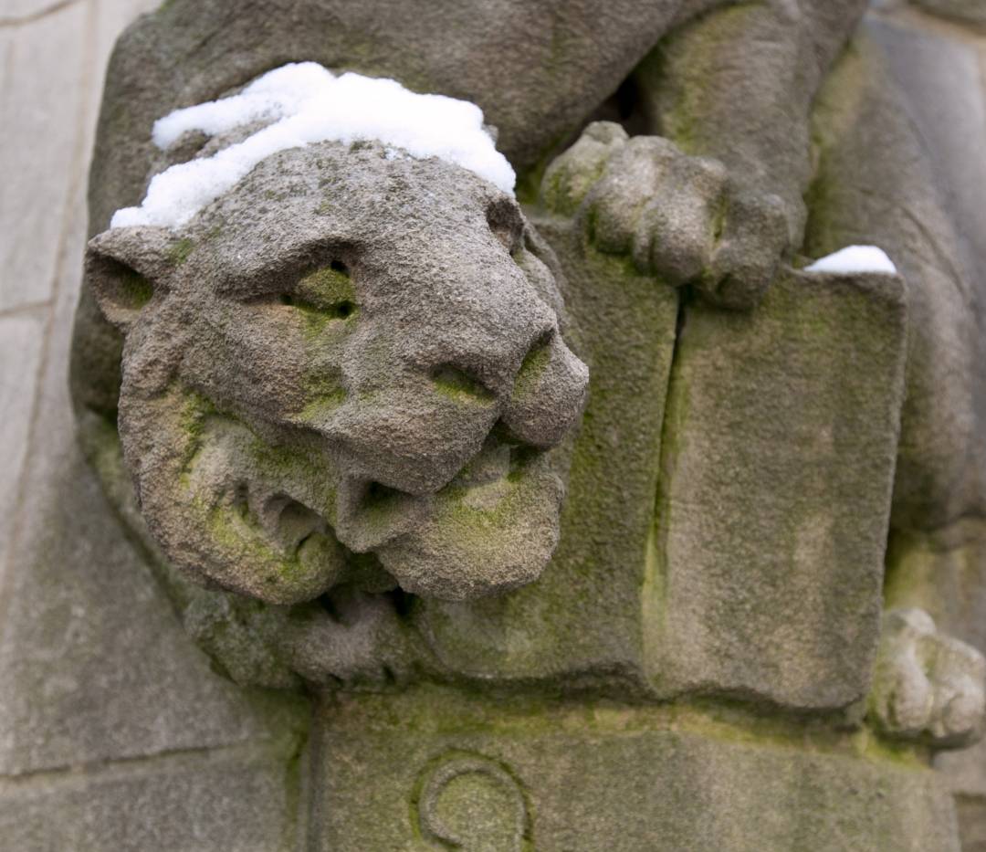 Tiger gargoyle with snow on Campbell Hall