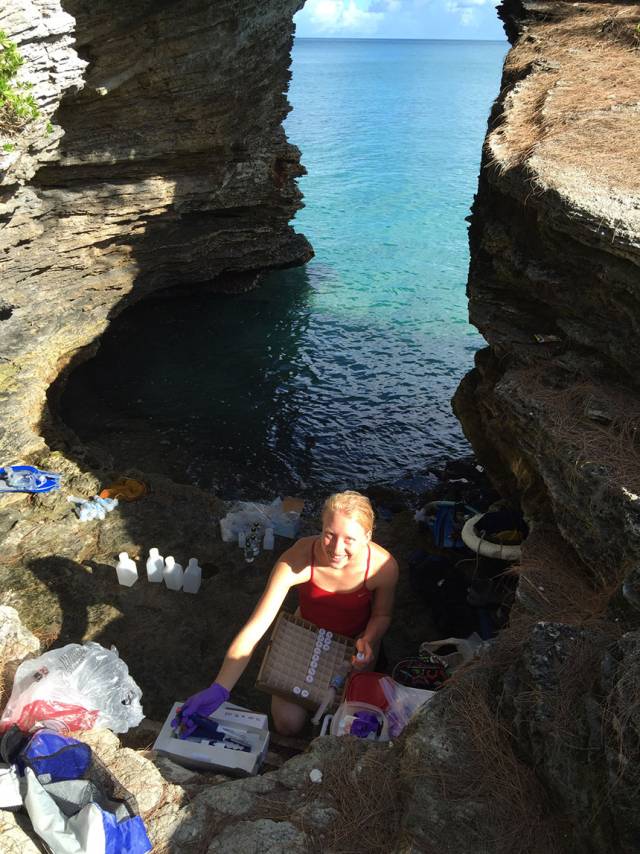 Zoe Sims researching at the ocean