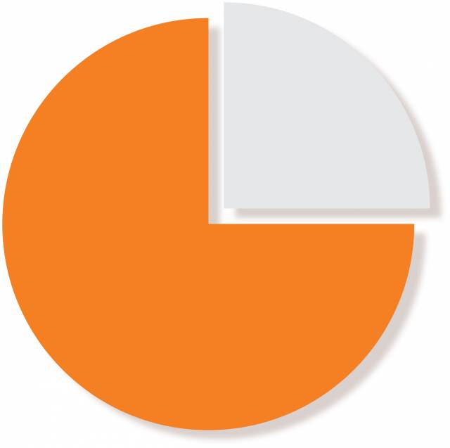 pie chart with 75% in orange, 25% in black