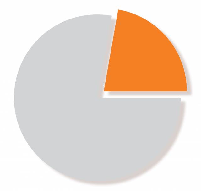 Pie chart with 78% in grey and 22% in orange