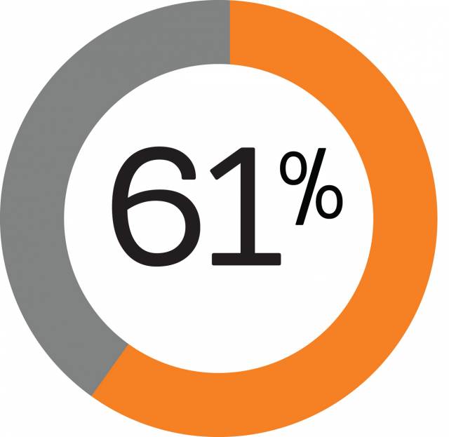 Pie graph showing 61%