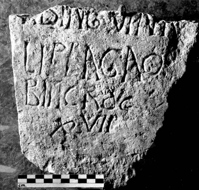 Maybe the first plague wasn’t that bad, say researchers