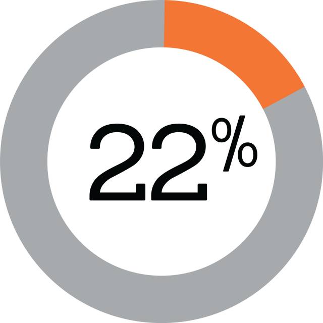 22% in a pie chart