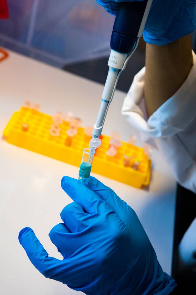 gloved hands filling a pipette