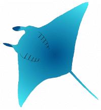manta logo