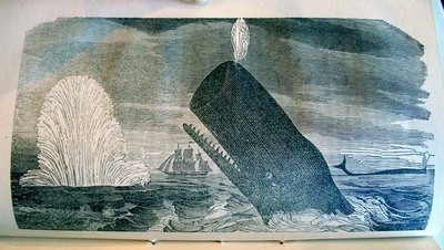 whaling2.jpg