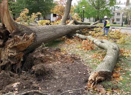 sandy8.jpg