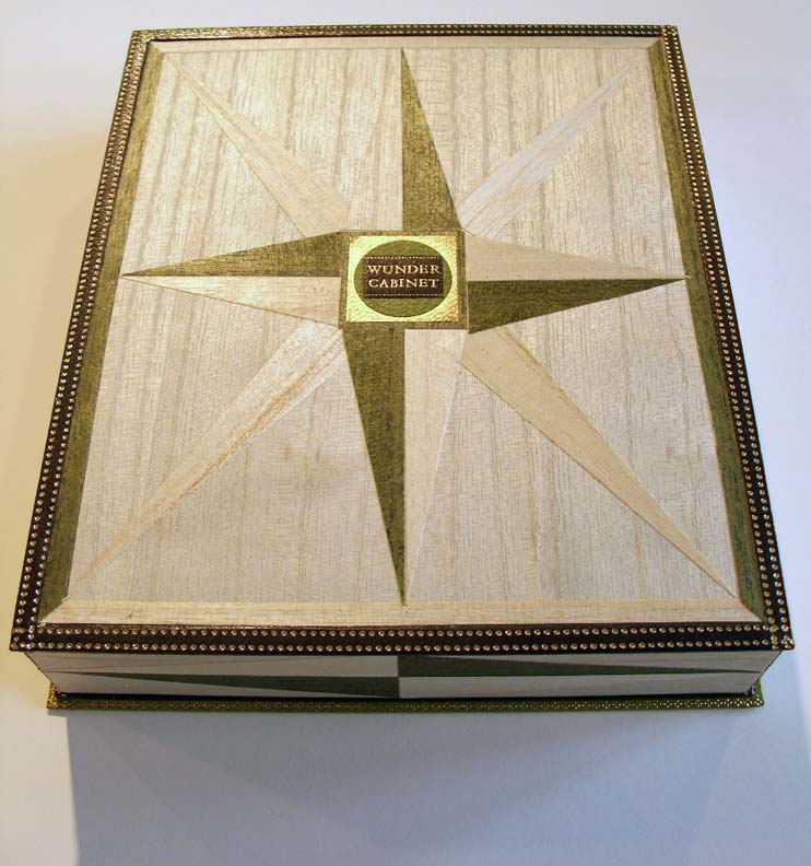 ../../../images/wondercabinet5.jpg