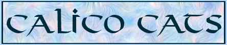 Calico Cats