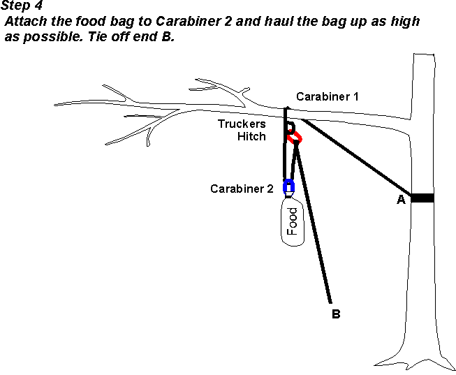 Bear Bag 4